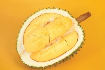 Gente come durian