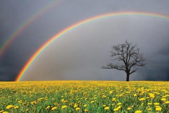 Painting a rainbow from life’s darkest storm