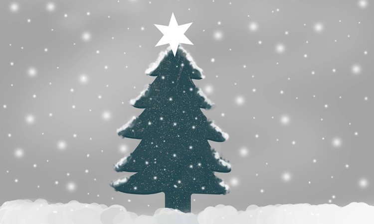 Pravo božično drevesce