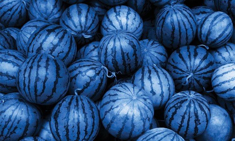 Warum Wassermelonen blau sind