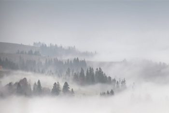 Η ομίχλη