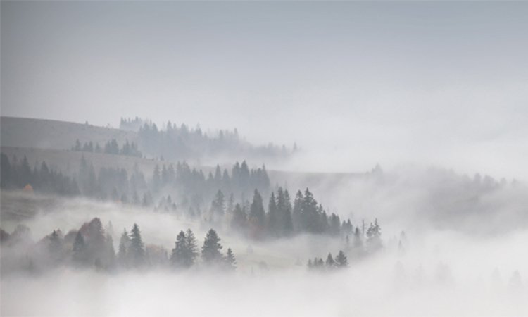 Η ομίχλη