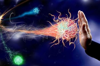 Das Wunder unseres Immunsystems
