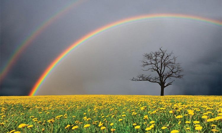 Painting a rainbow from life’s darkest storm