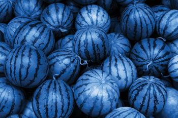 Warum Wassermelonen blau sind