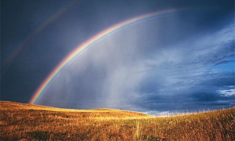 Peace in the storm