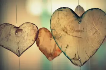 What is love?