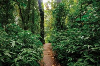 The prayer path