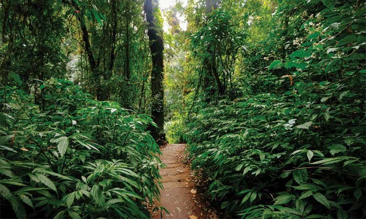 The prayer path