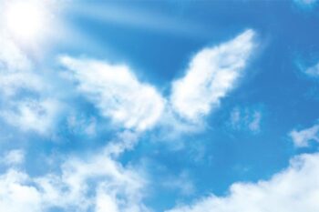 What angels long for