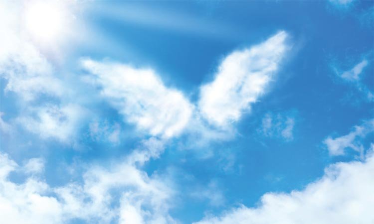 What angels long for